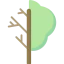 Deciduous tree icon 64x64