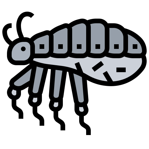 Insect icon