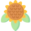 Sunflower icon 64x64
