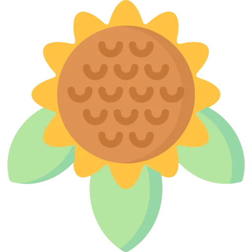 Sunflower icon