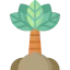 Palm icon 64x64
