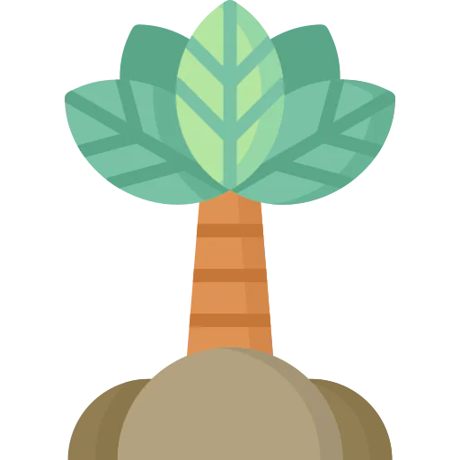 Palm icon