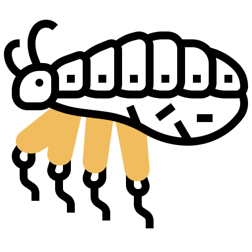 Insect icon