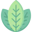 Leaves icon 64x64