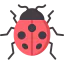 Ladybug icon 64x64