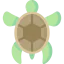 Turtle icon 64x64