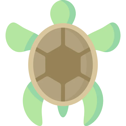 Turtle icon