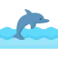 Dolphin icon 64x64