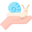 Snail icon 64x64