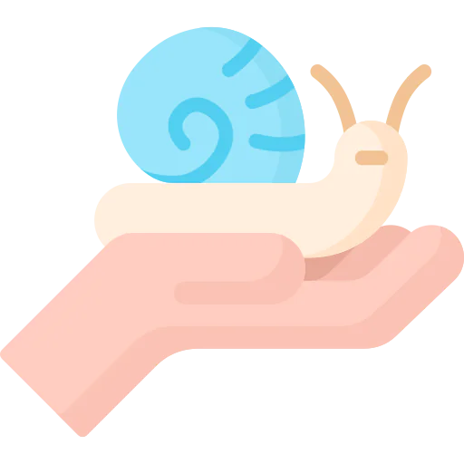 Snail icon