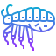 Insect icon 64x64