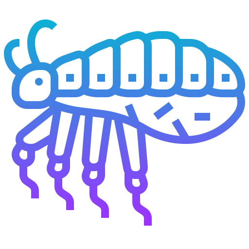 Insect icon
