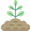 Sprout icon 64x64