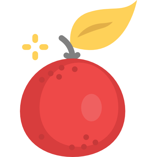 Orange icon