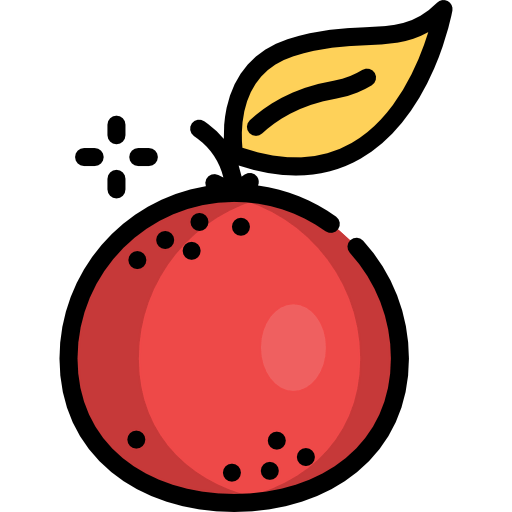 Orange icon