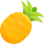 Pineapple icon 64x64