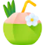 Coconut drink icon 64x64