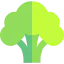 Broccoli icon 64x64