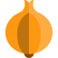 Onion icon 64x64