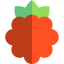 Raspberry icon 64x64
