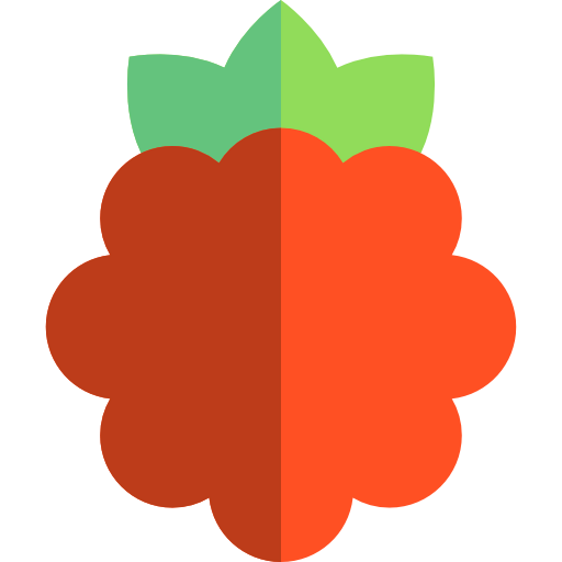 Raspberry icon