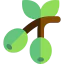 Olives icon 64x64