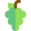 Grape icon 64x64