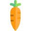 Carrot icon 64x64
