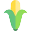 Corn icon 64x64