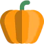 Pumpkin icon 64x64