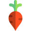Radish icon 64x64
