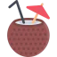 Coconut icon 64x64