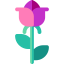 Rose icon 64x64