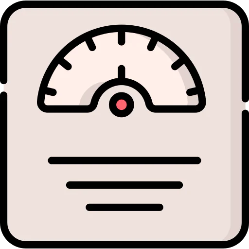 Scale icon