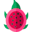 Dragon fruit icon 64x64
