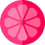 Mangosteen icon 64x64