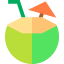 Coconut icon 64x64