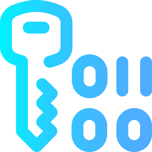 Key icon