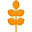 Barley icon 64x64