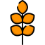 Barley icon 64x64