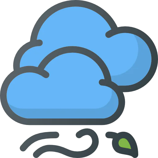 Windy icon