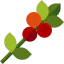 Coffee plant 상 64x64