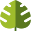 Monstera leaf Symbol 64x64