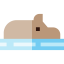 Hippo icon 64x64