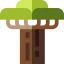 Baobab icon 64x64