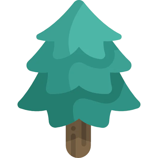 Pine icon