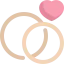Wedding rings icône 64x64