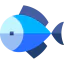 Big fish icon 64x64
