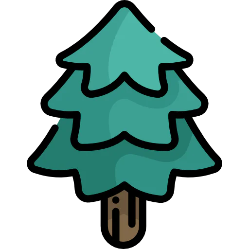 Pine icon