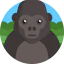 Gorilla Ikona 64x64